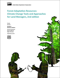 Download Forest Adaptation Workbook
